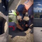 EN VIDEO: Funcionarios policiales rescataron a perrito que había caído en alcantarilla de la Cota Mil