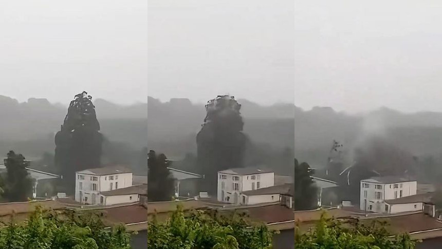 El video viral de un rayo impactando y pulverizando un inmenso árbol en el sur de Francia