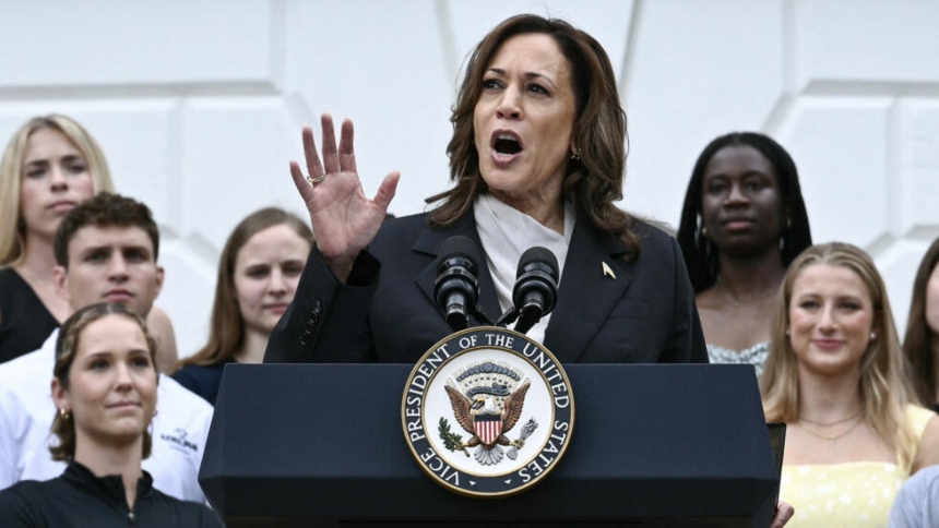 ¿Quiénes son los candidatos de Kamala Harris para elegir al futuro vicepresidente de EEUU? De momento, la actual titular del cargo lanzó