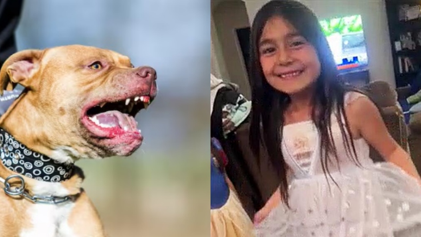 Una niña, de seis años, se encuentra luchando por su vida en un hospital de Los Ángeles, después de ser brutalmente atacada por dos perros