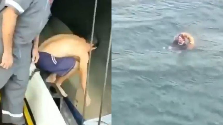 EN VIDEO: Tripulación de un ferry rescató a mujer en altamar, la lancha en la que iba se hundió