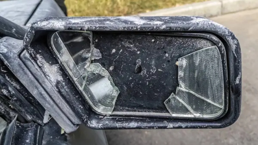 En la tranquila ciudad de Rockport, en EEUU, un fenómeno inusual alarma la atención de los residentes y expertos en aves.  