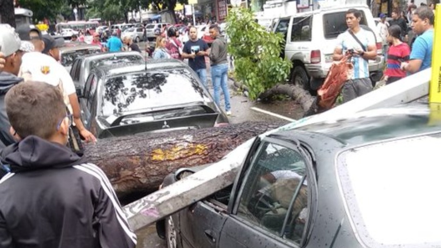EN FOTOS: Fuertes lluvias tumbaron árbol en la avenida Casanova de Caracas este 29Jun, cayó sobre unos vehículos