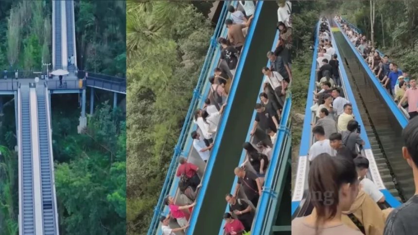 ¿Escalera al cielo? Espectacular construcción en China lleva a la cima de una montaña a los visitantes