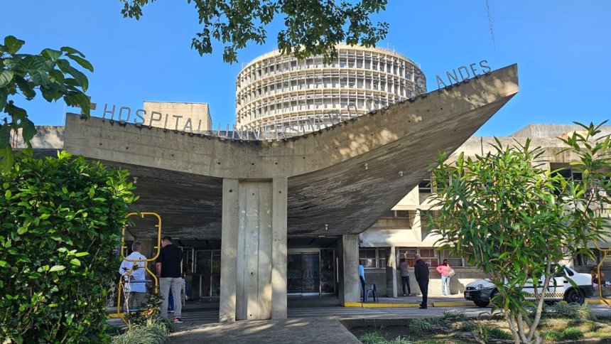 Conmoción en Mérida: Abuelita fue atacada por tres perros y terminó falleciendo víctima de las heridas