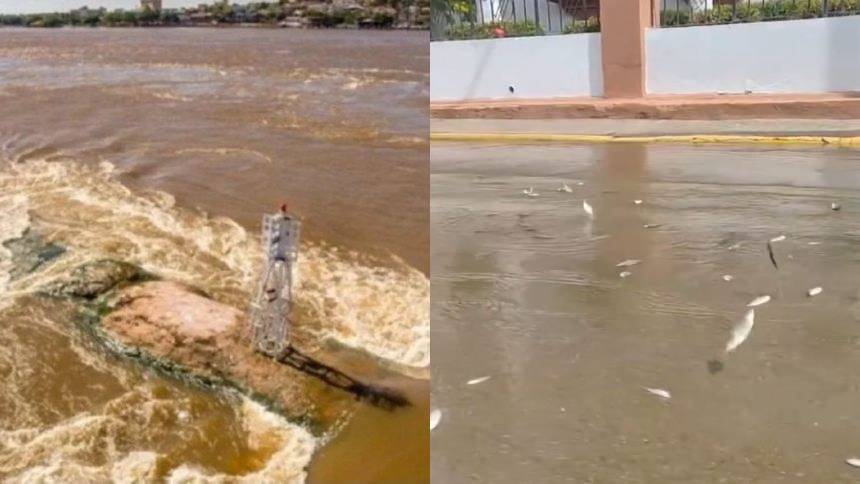 VIDEO: Peces aparecen en las calles luego de que el Orinoco superó el nivel de alerta roja, esto pidieron las autoridades