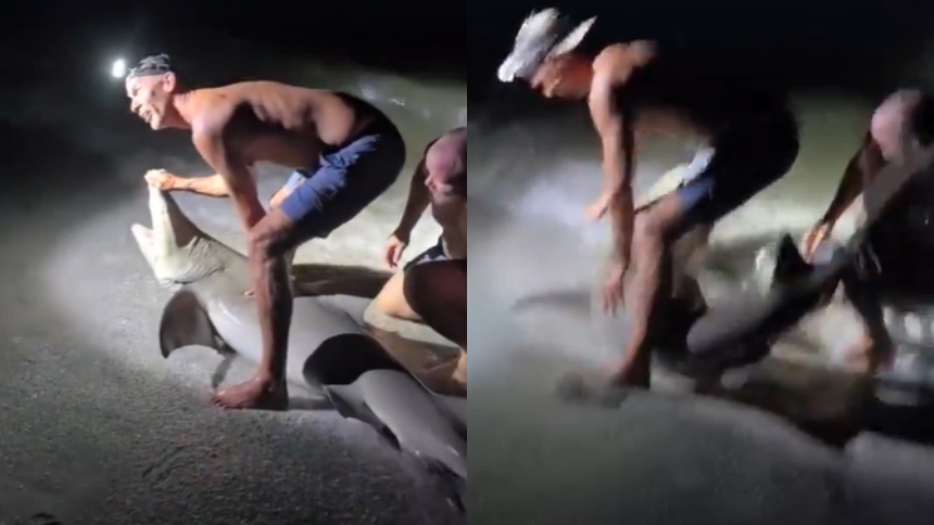 Lo que debía ser un momento tranquilo se convirtió en una pesadilla para Shawn Meuse, un pescador que festejaba su cumpleaños en Cayo Costa, en Florida (EEUU), terminó brutalmente atacado por un tiburón.  