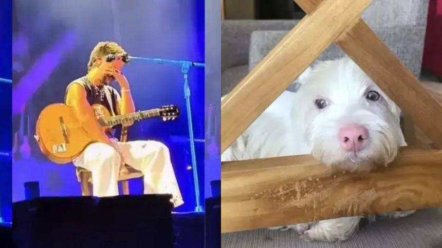 VIDEO: Camilo rompe en llanto en pleno concierto al anunciar la muerte de su perrita quien fue su mascota por 20 años