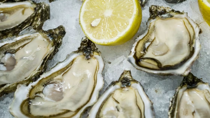 Las autoridades sanitarias de Luisiana (EEUU) confirmaron la muerte de dos personas que contrajeron Vibrio vulnificus, una peligrosa bacteria conocida como “carnívora”, después de consumir ostras crudas.  