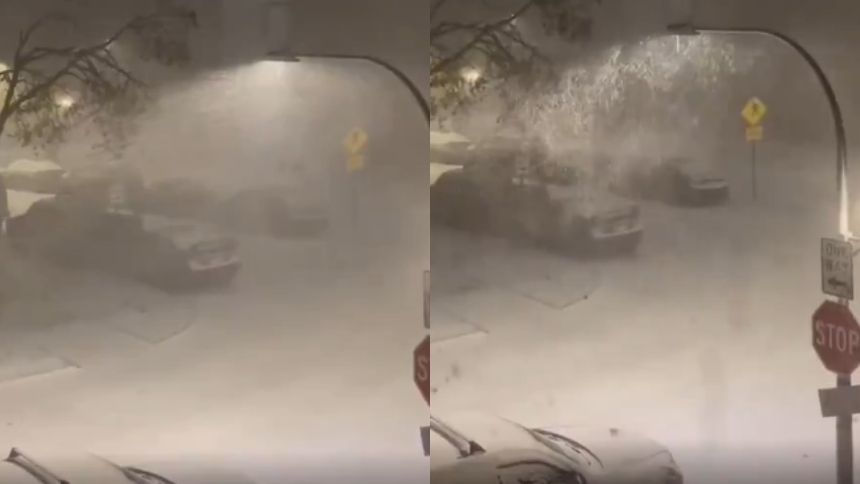 La ciudad de Chicago, en Illinois (EEUU) amaneció este lunes, 10 de noviembre, bajo un manto blanco de nieve que sorprendió incluso a los residentes más acostumbrados al invierno.  