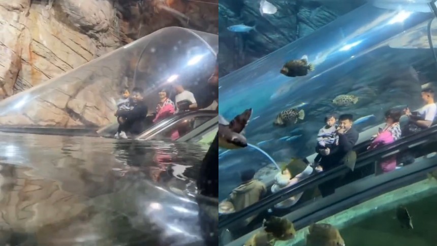 VIDEO VIRAL: China revoluciona el turismo con escalera mecánica que te sumerge en el fondo del océano